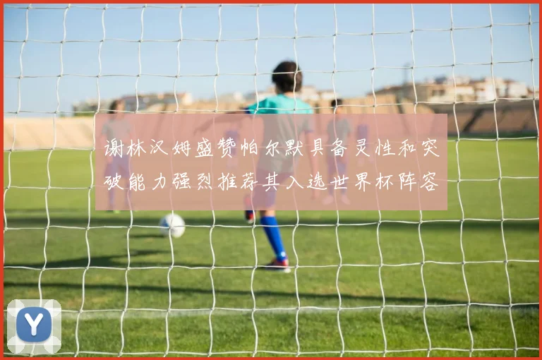 谢林汉姆盛赞帕尔默具备灵性和突破能力强烈推荐其入选世界杯阵容