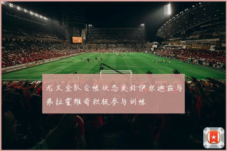 尤文全队合练状态良好伊尔迪兹与弗拉霍维奇积极参与训练
