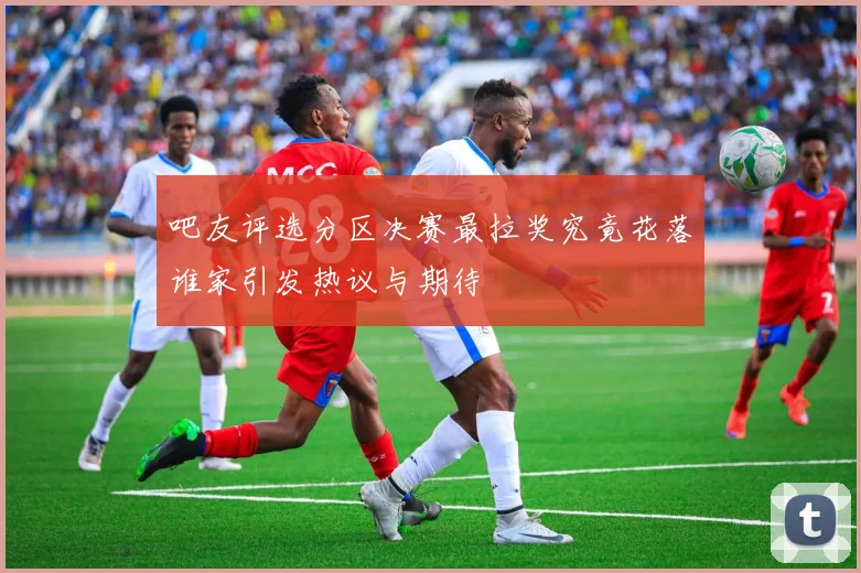 吧友评选分区决赛最拉奖究竟花落谁家引发热议与期待